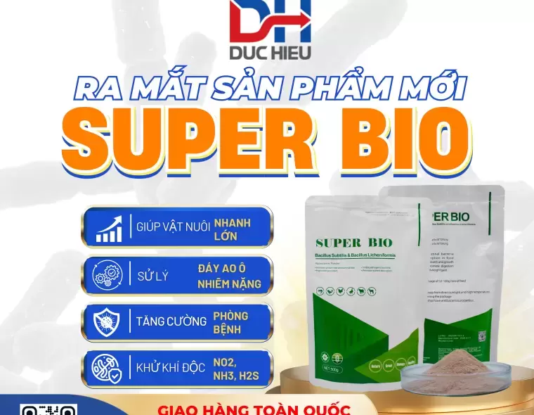 SUPER BIO – GIẢI PHÁP TỪ VI SINH NGUYÊN LIỆU GIÚP NUÔI TÔM HIỆU QUẢ