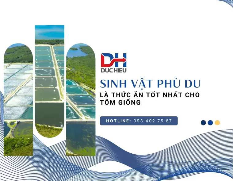 SINH VẬT PHÙ DU ẢNH HƯỞNG THẾ NÀO TỚI AO NUÔI TÔM