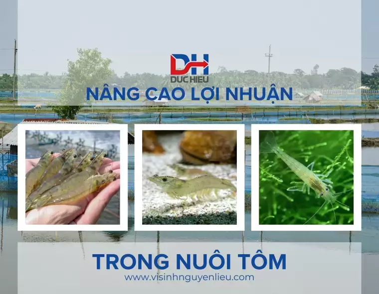 [GIẢI PHÁP] TIẾP KIỆM CHI PHÍ SẢN XUẤT VÀ PHÒNG BỆNH CHO TÔM