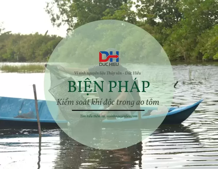 BIỆN PHÁP KIỂM SOÁT KHÍ ĐỘC TRONG CÁC MÔ HÌNH NUÔI TÔM