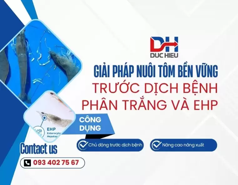 ỨNG DỤNG VI SINH NGUYÊN LIỆU - GIẢI PHÁP NUÔI TÔM BỀN VỮNG TRƯỚC DỊCH BỆNH PHÂN TRẮNG VÀ EHP