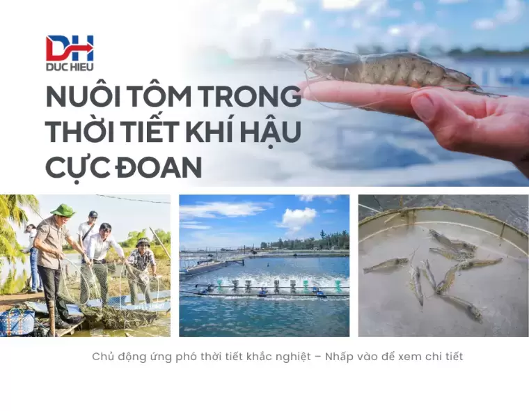 VI SINH NGUYÊN LIỆU - CHÌA KHÓA CHO MÔ HÌNH NUÔI TÔM THỜI TIẾT CỰC ĐOAN