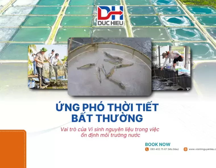 ỨNG PHÓ THỜI TIẾT BẤT THƯỜNG TRONG NUÔI TRỒNG THỦY SẢN - VAI TRÒ CỦA VI SINH NGUYÊN LIỆU TRONG VIỆC ỔN ĐỊNH MÔI TRƯỜNG NƯỚC
