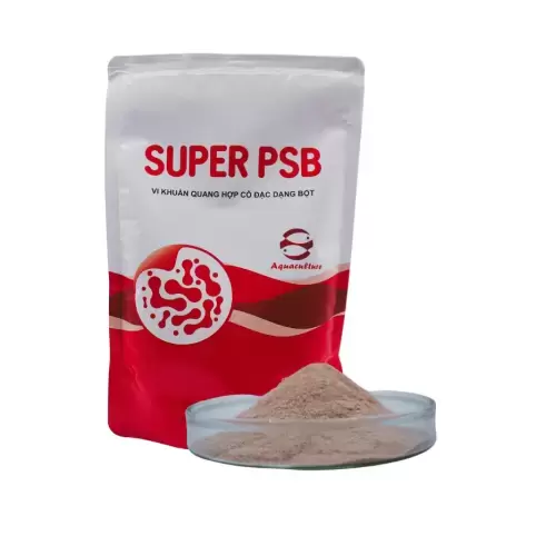 SUPER PSB ( 500gram )