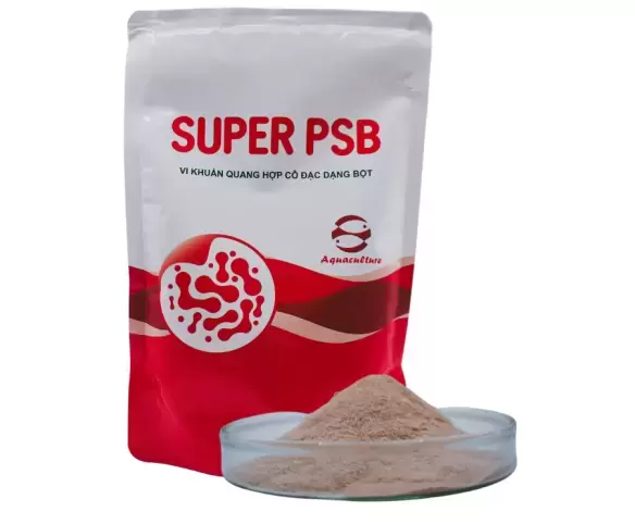 SUPER PSB ( 500gram )