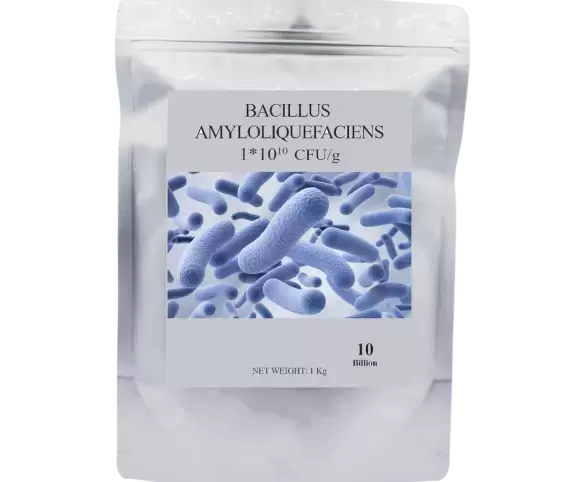 BACILLUS AMYLOLIQUEFACIENS