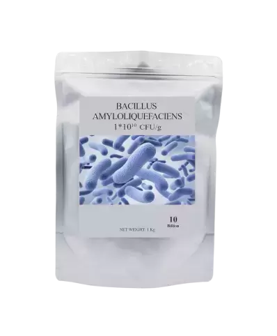 BACILLUS AMYLOLIQUEFACIENS