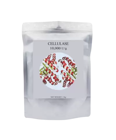 ENZYME CELLUASE