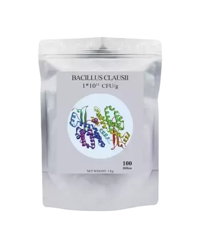 BACILLUS CLAUSII