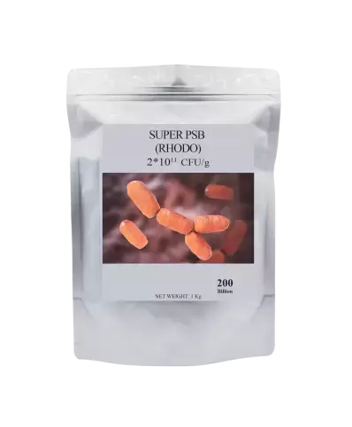 SUPER PSB (RHODO)