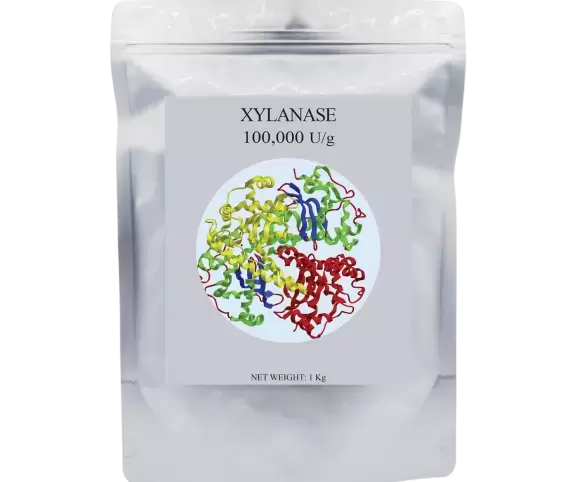 ENZYME XYLANASE